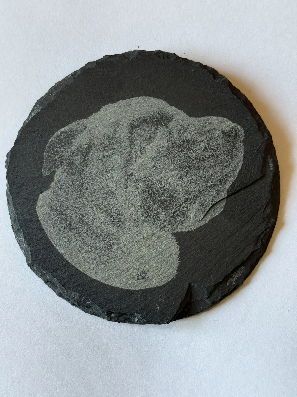 Round slate coaster with pet portrait